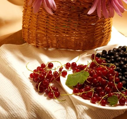 Red and black currants on a white plate-on a white napkin-and a wicker basket with pink flowers-close-up.
