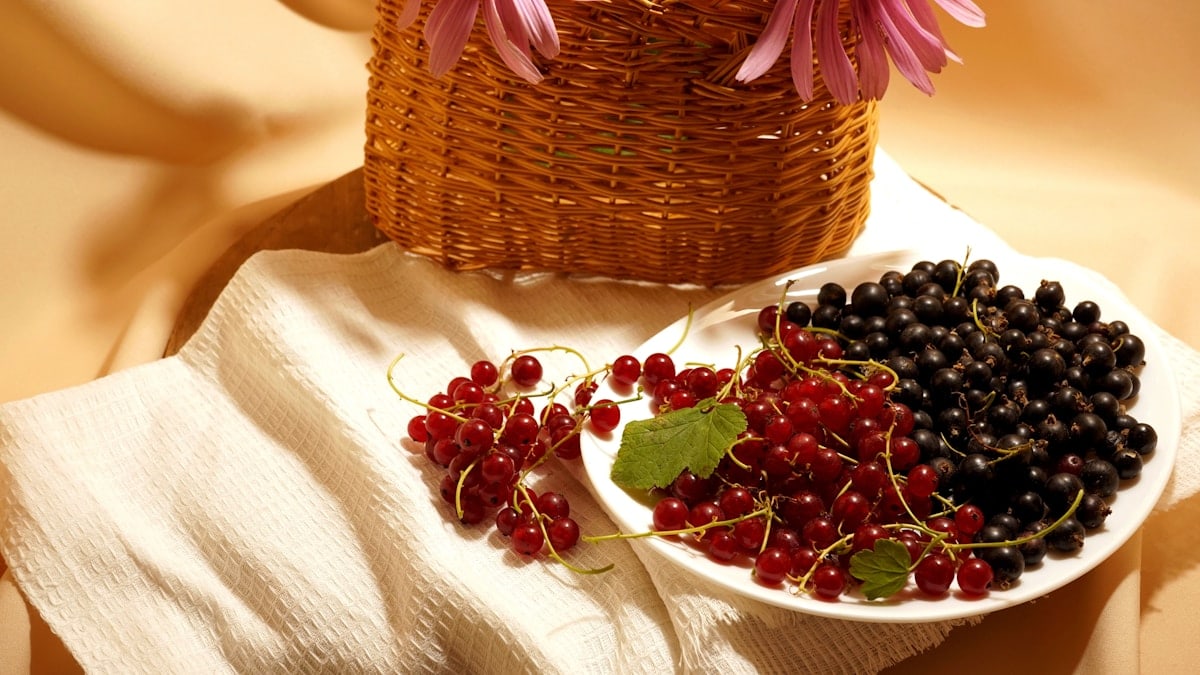 Red and black currants on a white plate-on a white napkin-and a wicker basket with pink flowers-close-up.
